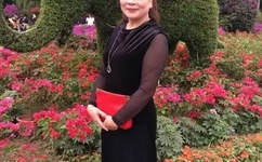 全球最大成人网站P站遭受重创